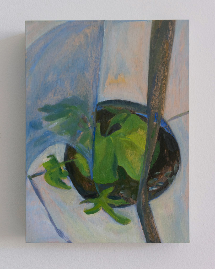 on wood